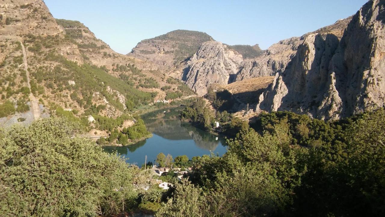 Cortijo Palmeras El Chorro Alora
