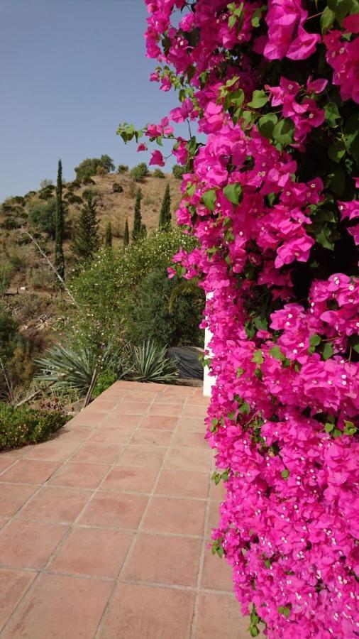 Cortijo Palmeras El Chorro Alora