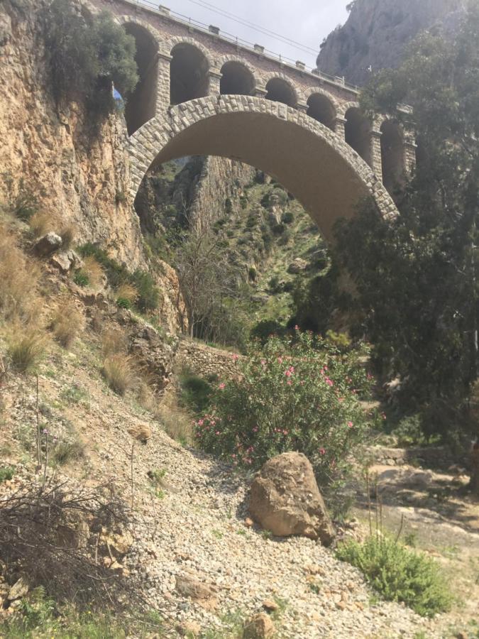 Cortijo Palmeras El Chorro Hébergement de vacances Alora