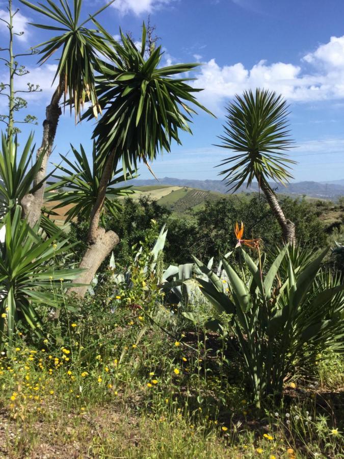 Hébergement de vacances Cortijo Palmeras El Chorro Alora